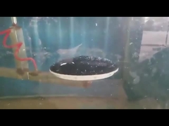 مهوية قرص الغشاء 1/6 ناشر قرص فقاعي ناعم لمعالجة المياه ضياء 90 * 1000 مللي متر